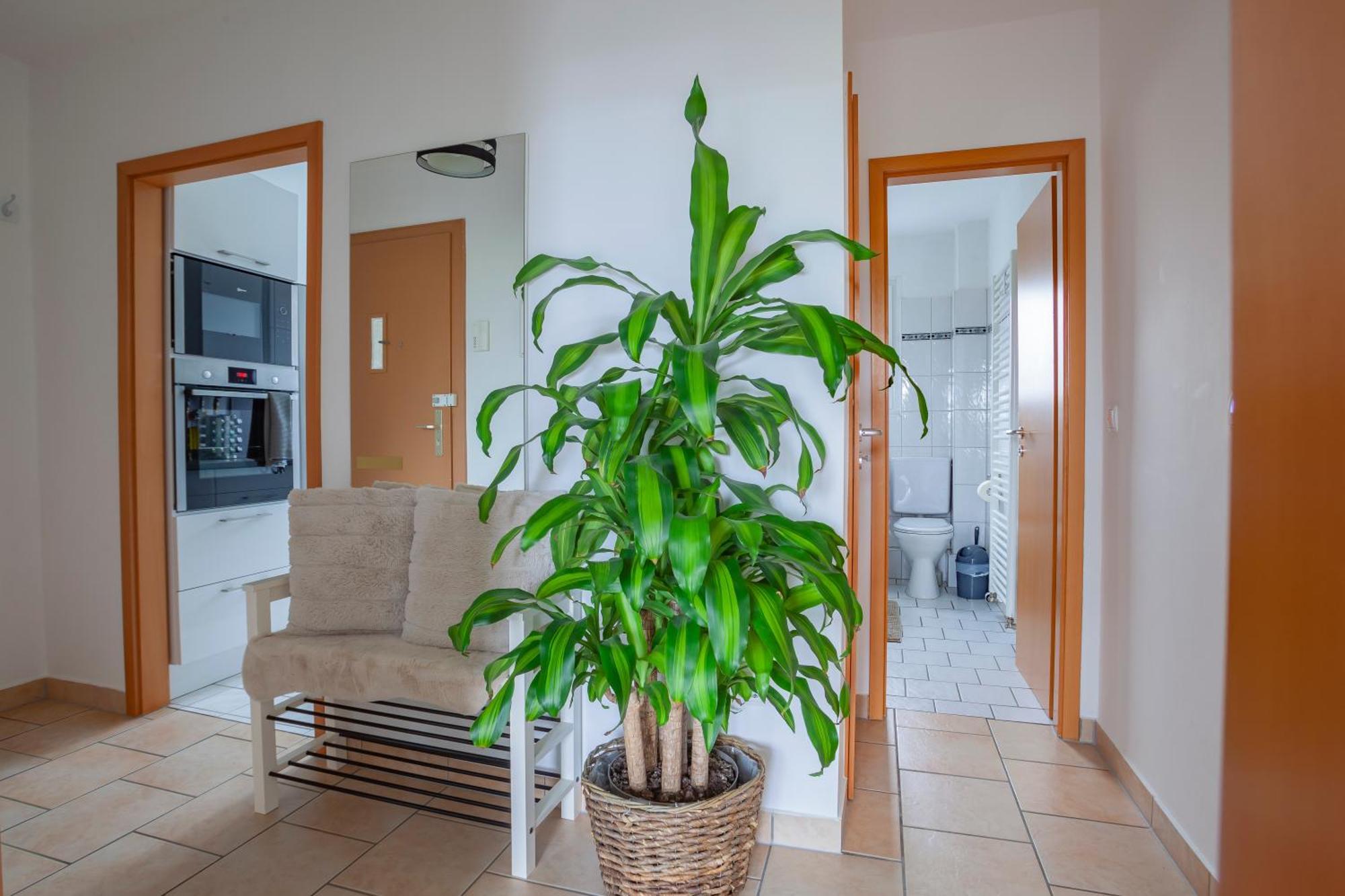 Exclusive 2-Room-City-Apartment - Contactless Check-In Hannover Ngoại thất bức ảnh